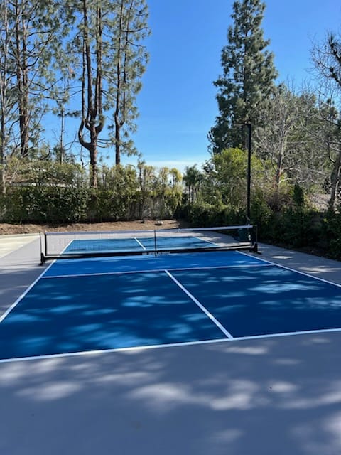 Backyard pickleball court
